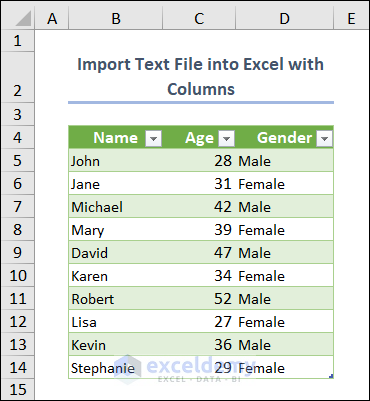 data imported from text file to excel with columns