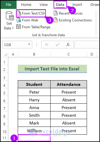 Import Text File into Excel with Columns
