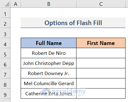 Flash Fill Options in Excel