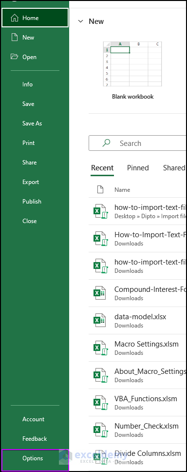 Opening Excel option