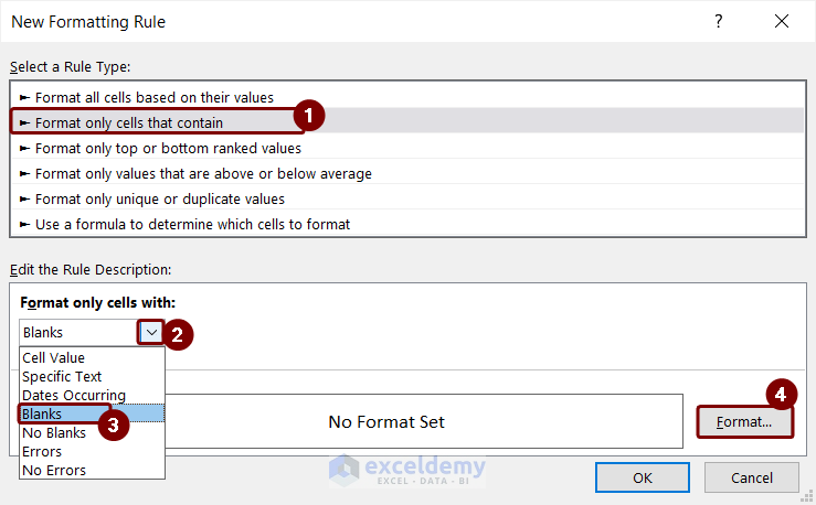 Choose Blanks Cells Option to Format