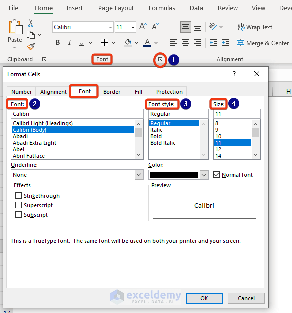 Use of Microsoft Excel: Font, Size, Color, Style