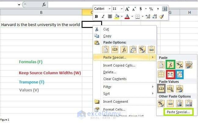 Paste Special Command in Excel Image 1