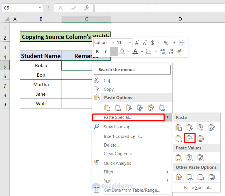 Copy source column width to paste special commands in excel