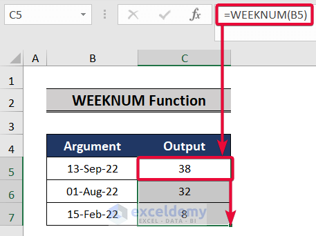 weeknum function, a top excel functions and features for management consultants