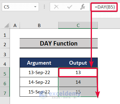 day function, a top excel functions and features for management consultants