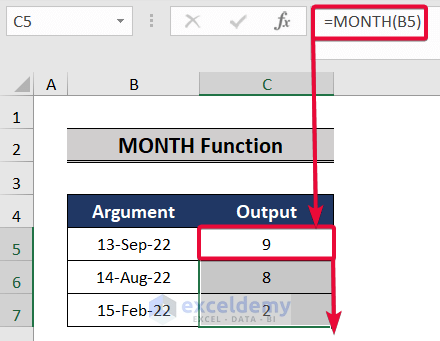 month function, a top excel functions and features for management consultants