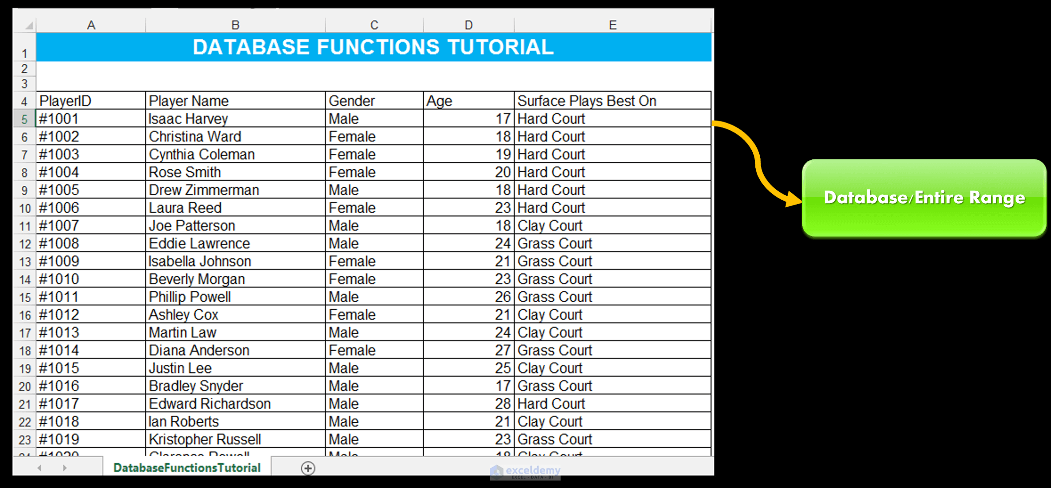 Excel Database of Tennis Players