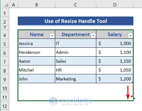 Insert rows in Table using Resize Handle tool