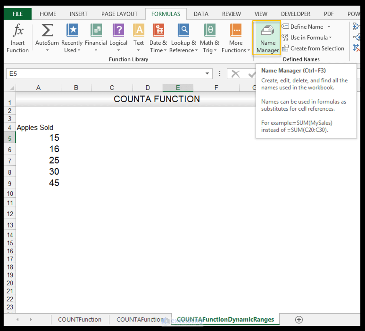 Excel COUNTA Function Image 5