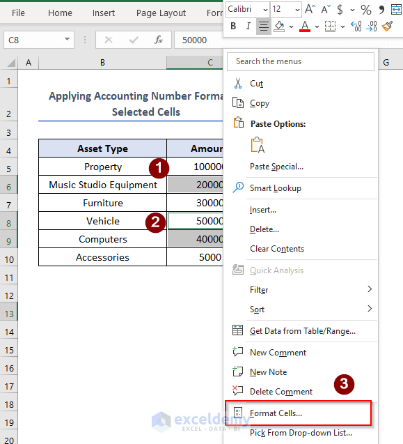Apply Accounting Number Format to the Selected Cells