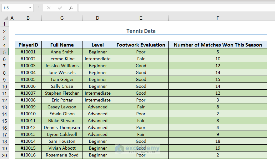 A sample of Excel dataset
