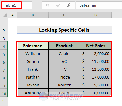 Apply Excel VBA for Locking Specific Cells