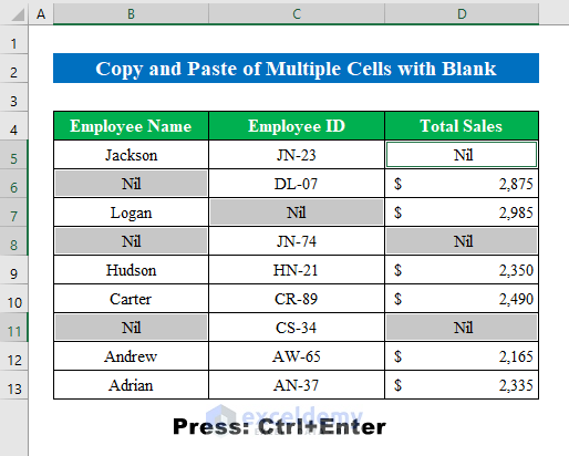 Copy and Paste Multiple Cells with Blank