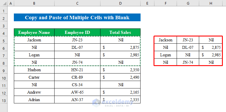 Copy and Paste Multiple Cells with Blank