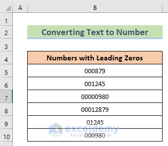 Dataset to Remove Leading Zeros in Excel