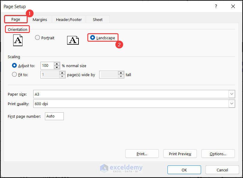 Change Orientation from Page Setup Dialog Box
