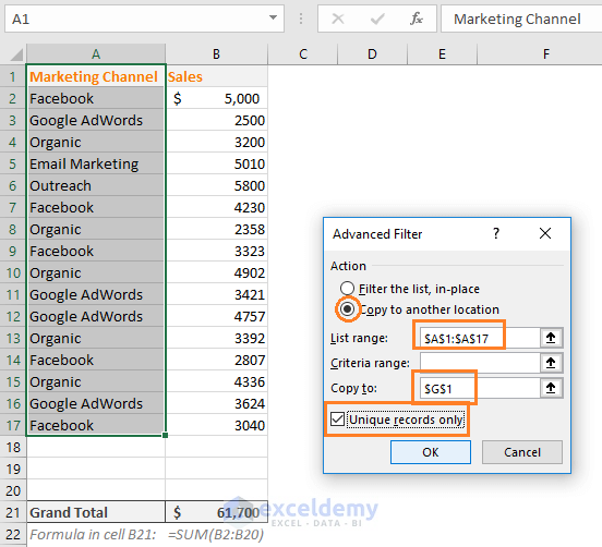 advanced filter excel options