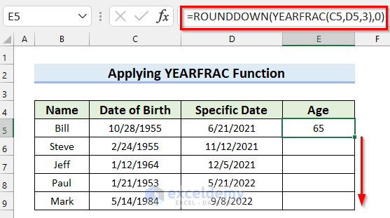 Applying ROUNDDOWN Function to Calculate Age on a Specific Date in Excel Formula