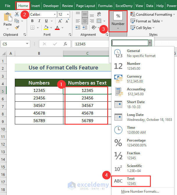 Applying Format Cell Feature to convert numbers into text in Excel