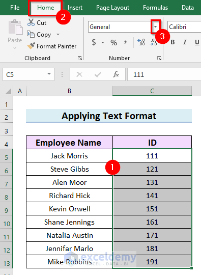Apply Text Format to Add Leading Zeros