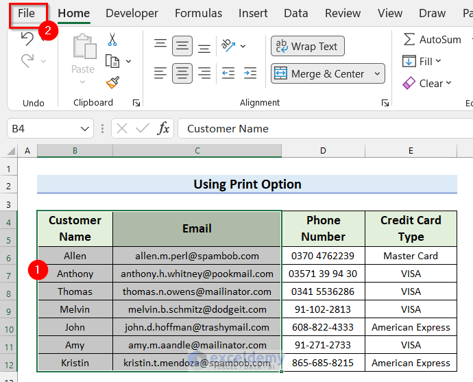 Use Print Option to Print Selected Cells in Excel