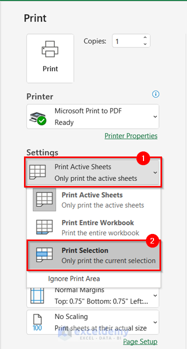Selecting Print Selection Option to Print Selected Cells in Excel