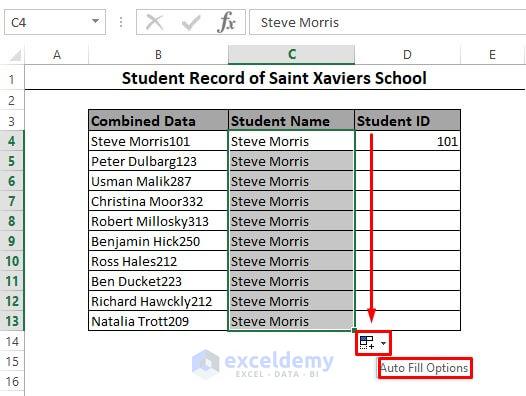 Auto Fill Options in Excel