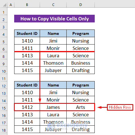 How to Copy Only Visible Cells in Excel