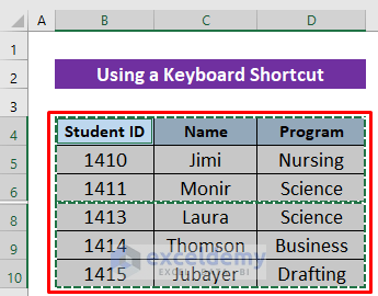 Using a Keyboard Shortcut to Copy Only Visible Cells