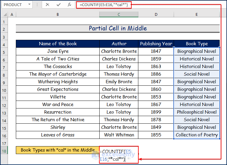 Partial Cell in Middle to Count Cells with Specific Text in Excel