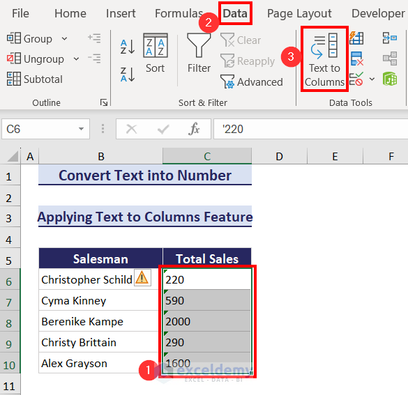 Applying Text to Columns Feature