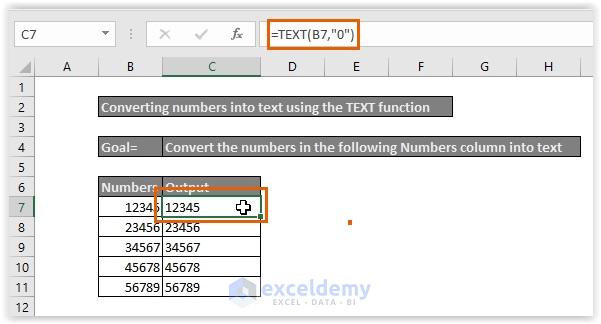Entering the TEXT function