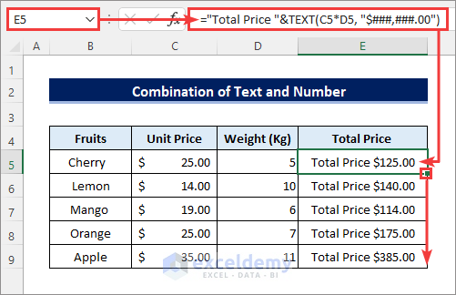 excel TEXT function format codes