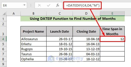 Excel DATEDIF Function to Find Number of Months