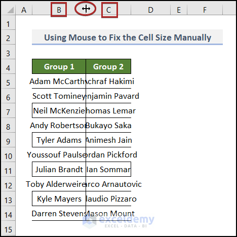 Using Mouse to Fix the Cell Size Manually
