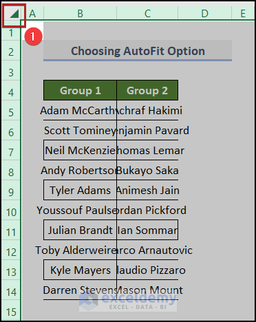 Choosing AutoFit Option to Fix Column Width & Row Height in Excel