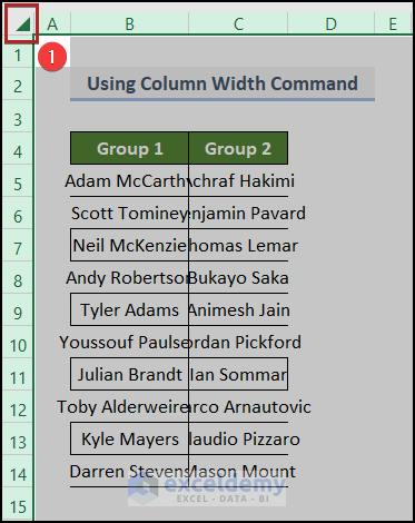 Using Column Width Command