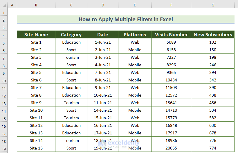 How to Apply Multiple Filters in Excel