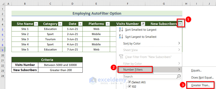Employing Autofilter Option to Apply Multiple Filters in Excel 