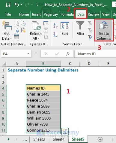 Text to columns selection