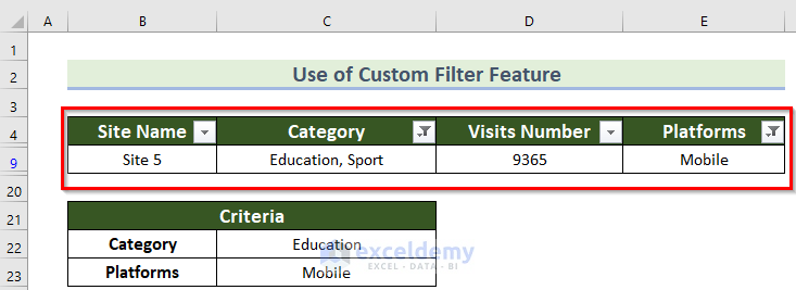 Result for Employing Filter Feature to Apply Multiple Filters in Excel