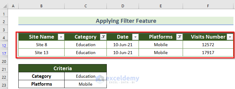 Result of using Simple way to Apply Multiple Filters in Excel 