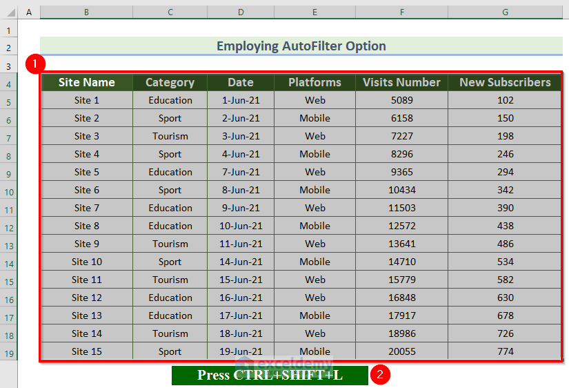 Using AutoFilter Option to Filter Multiple Values in Excel