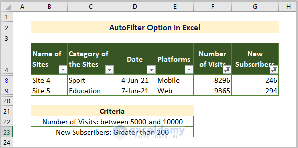 AutoFilter Option for Multiple Filters 