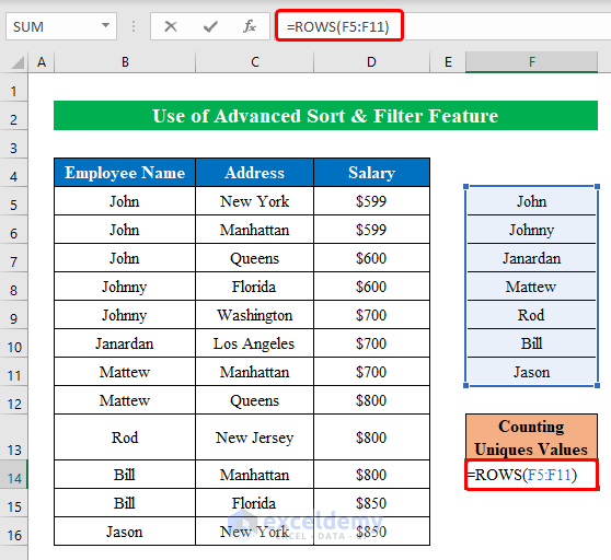 Using Excel Advanced Sort & Filter Option to Count Unique Values in Excel