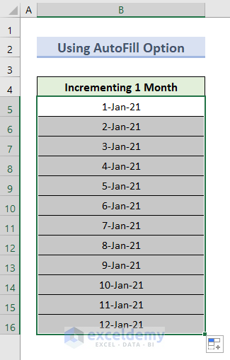Use AutoFill Option to Increment by 1 Month