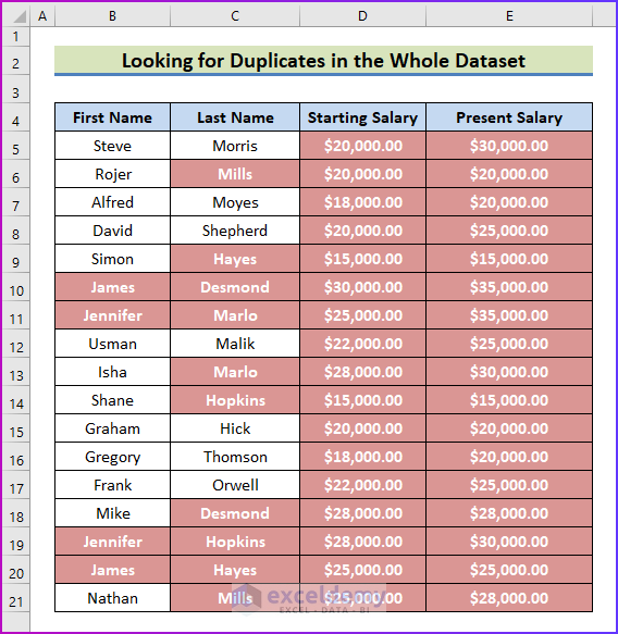 Showing Final Result of Looking For Duplicates in the Whole Dataset to Compare Rows for Duplicates in Excel