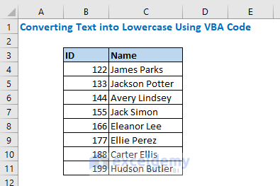 Converting Text into Lowercase Using VBA Code