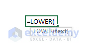Excel LOWER Function Syntax & Arguments